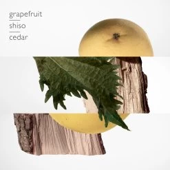 Hermès HERMÈS PARFUM REFILL 8 Hermès HERMÈS PARFUM REFILL -Mode Kosmetikgeschäft 03211a8e72a1472281b6dce2de96d207