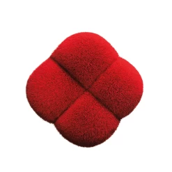 Shiseido Polishing Face