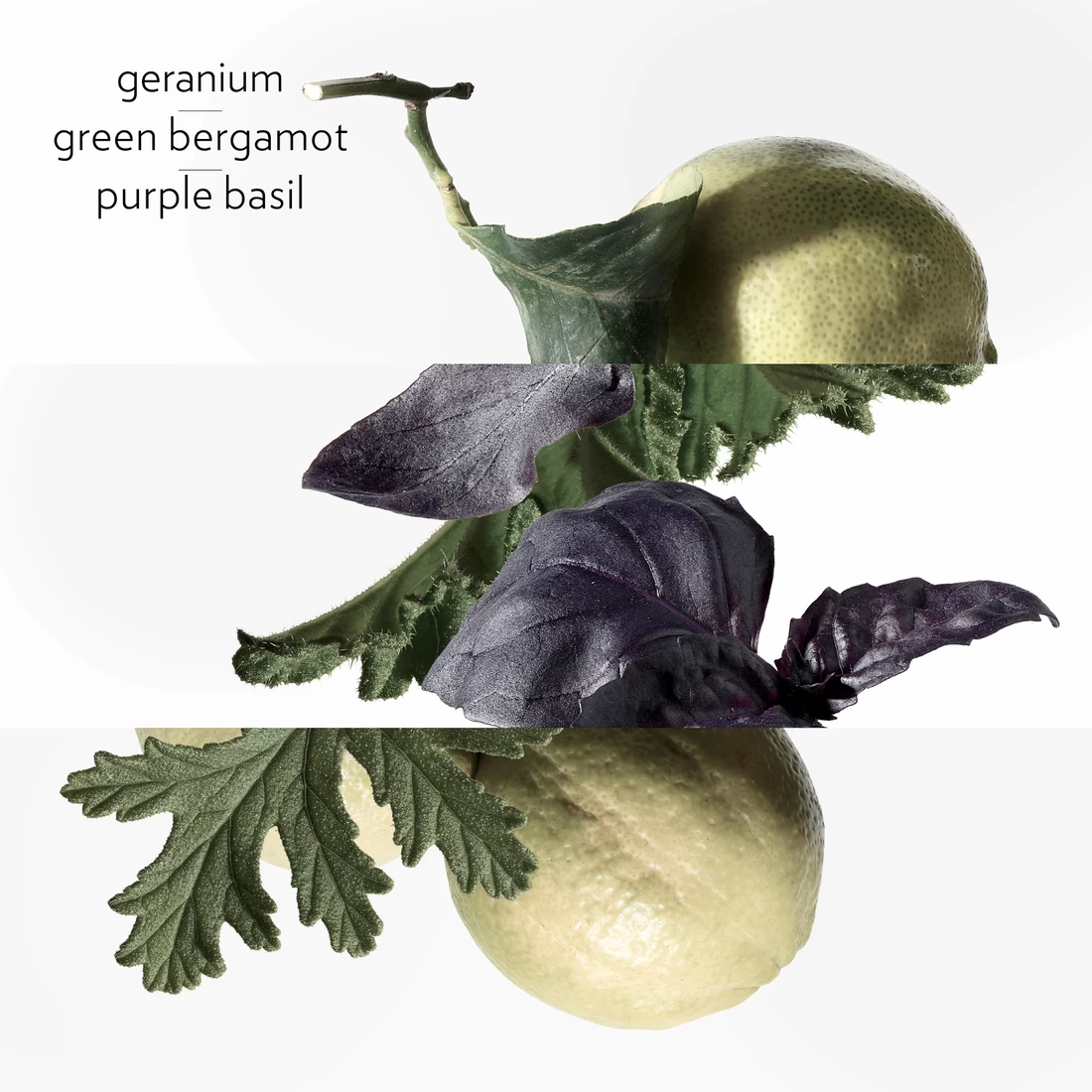 Hermès HERMÈS EAU DE COLOGNE 1 Hermès HERMÈS EAU DE COLOGNE