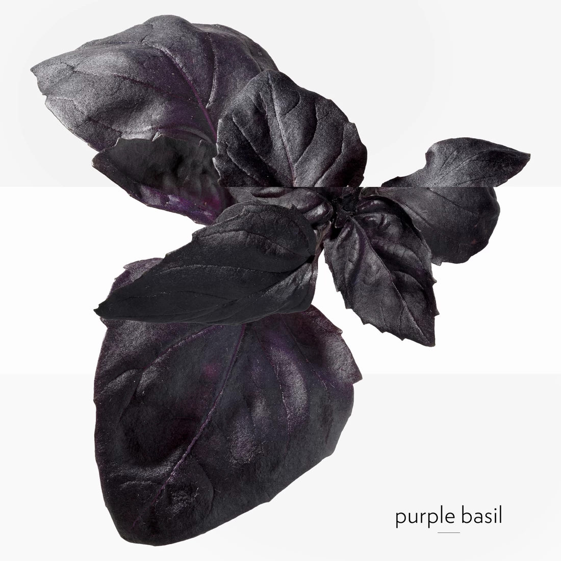 Hermès HERMÈS EAU DE COLOGNE 2 Hermès HERMÈS EAU DE COLOGNE – Bild 2