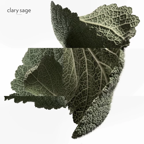 Hermès HERMÈS EAU DE PARFUM REFILLABLE 2 Hermès HERMÈS EAU DE PARFUM REFILLABLE – Bild 2