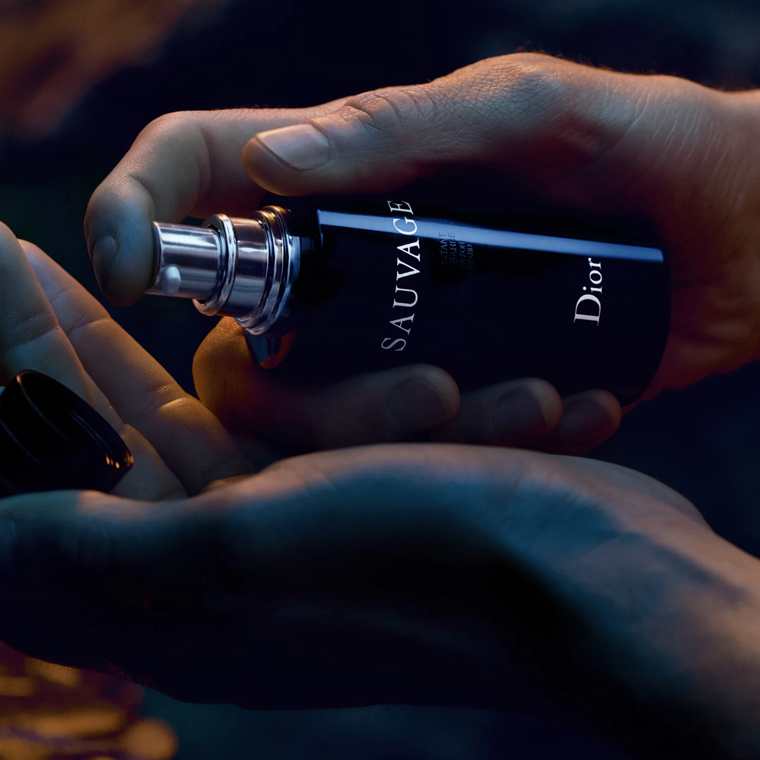 DIOR Feuchtigkeitscreme Für Gesicht & Bart 1 DIOR Feuchtigkeitscreme Für Gesicht & Bart