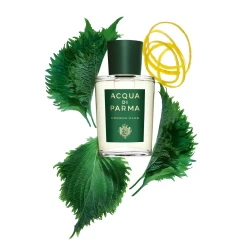 ACQUA DI PARMA Eau De Cologne (EdC) -Mode Kosmetikgeschäft 8028713150012 2