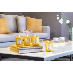 ACQUA DI PARMA Glass Candle -Mode Kosmetikgeschäft 8028713620690 6