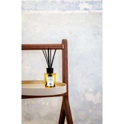 ACQUA DI PARMA Room Diffuser -Mode Kosmetikgeschäft 8028713622007 3