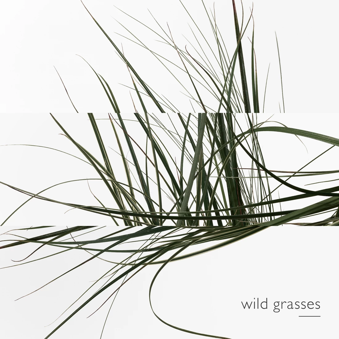 Hermès HERMÈS EAU DE TOILETTE 2 Hermès HERMÈS EAU DE TOILETTE – Bild 2