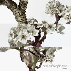 Hermès HERMÈS EAU DE TOILETTE 13 Hermès HERMÈS EAU DE TOILETTE -Mode Kosmetikgeschäft cbeed70a586b431a8afd6f7d81304c42