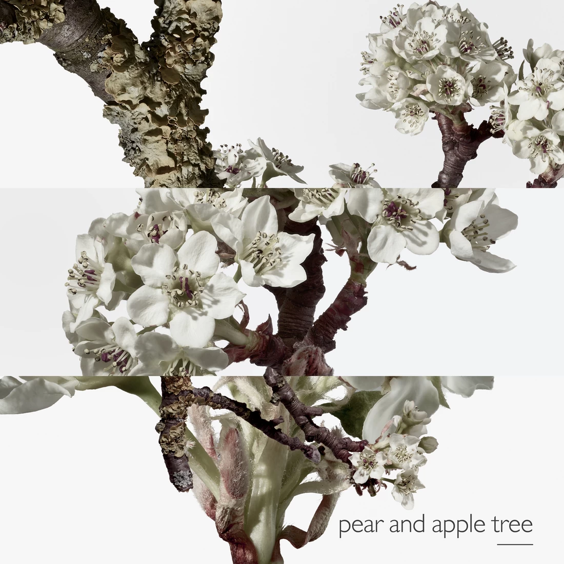 Hermès HERMÈS EAU DE TOILETTE 7 Hermès HERMÈS EAU DE TOILETTE – Bild 7